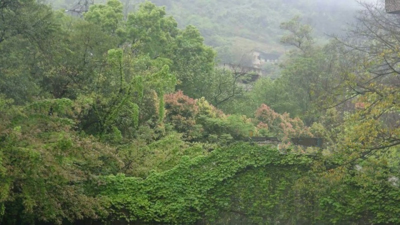 重慶市北碚區(qū)萬家福養(yǎng)老護理中心