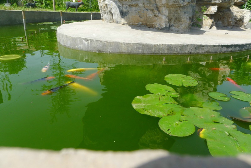 北京市豐臺區康助護養院