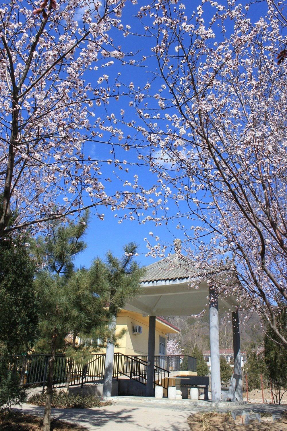 北京市昌平區愛地老人頤養中心