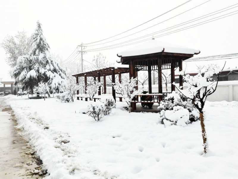 棗莊甘泉護(hù)理院