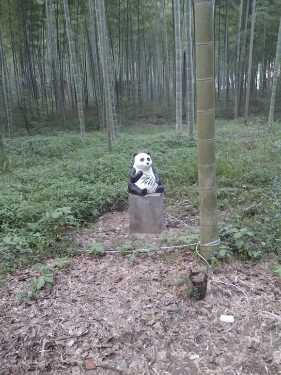 太平山莊夏季避暑圣地