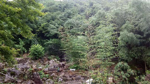 杭州靈山養老院