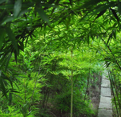 璧山福音養老院