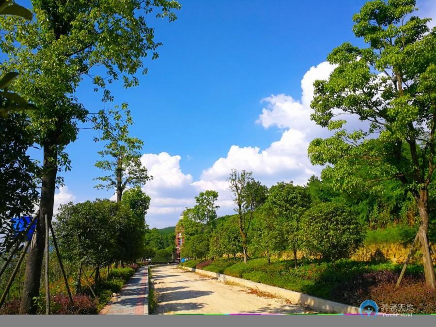 重慶御風天地森林康養莊園